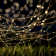 Hemphill 38.65' Outdoor LED Solar Powered 100 - Bulb Fairy String Light