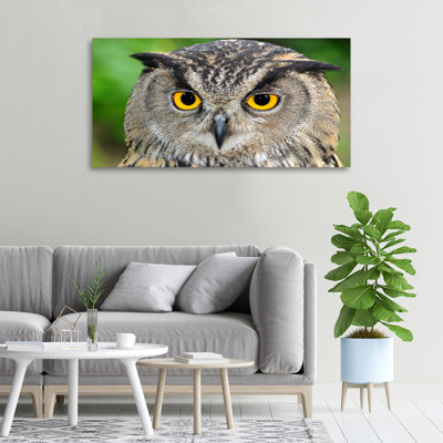 Owl - Wrapped Canvas Print