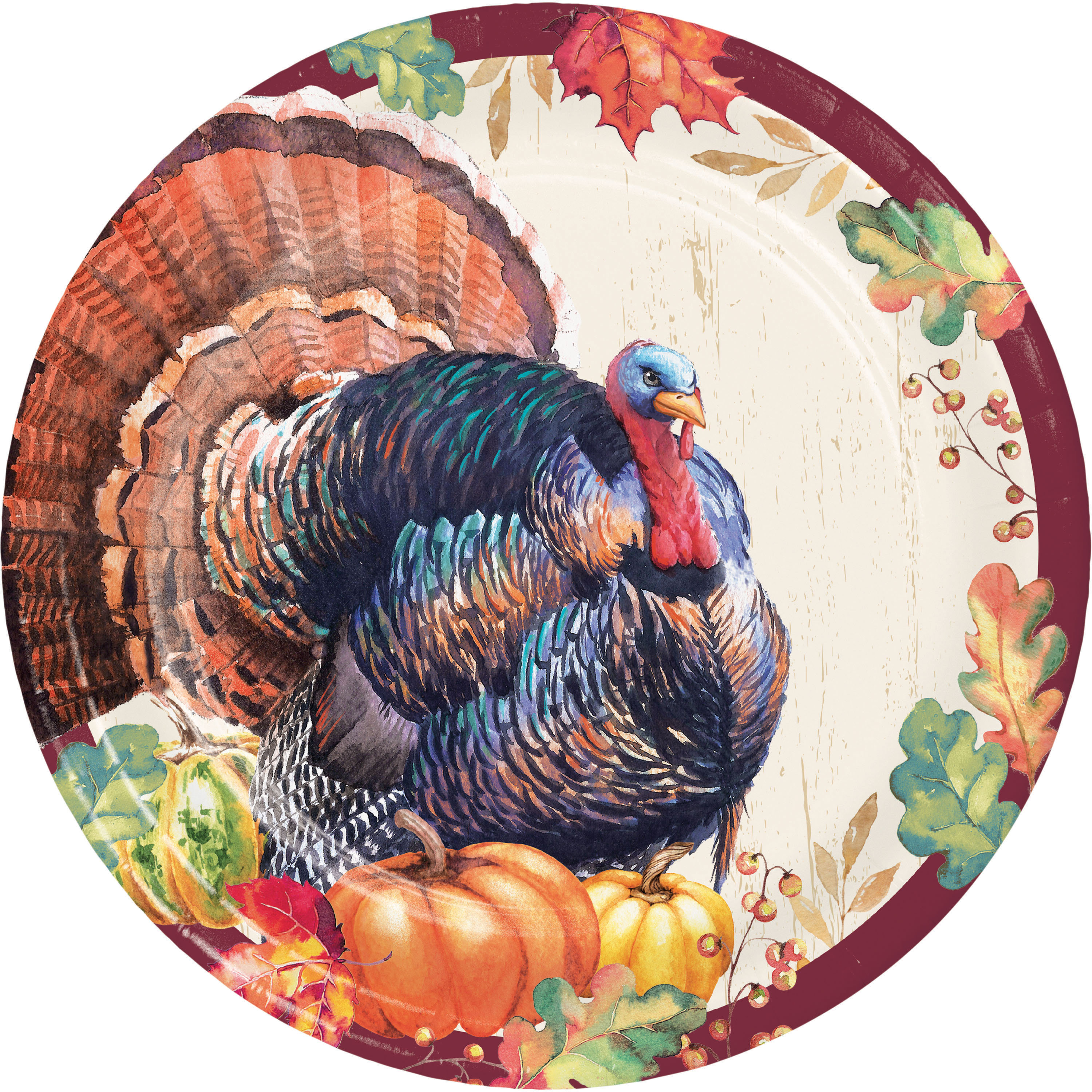 Traditional Thanksgiving Turkey Cloth Dinner Napkins - Set of 4