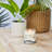 Signature Coconut Beach Scented Candle-99417997