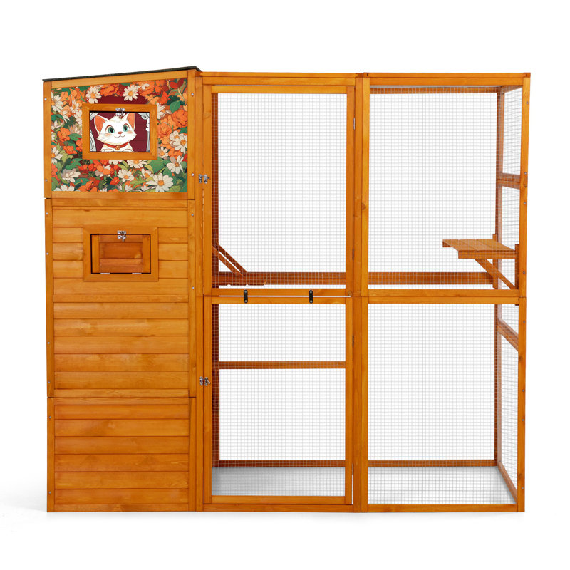 Large Outdoor Cat Enclosure