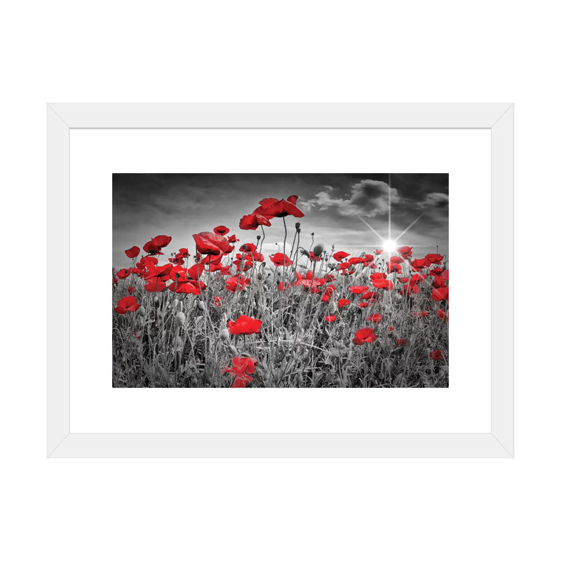 "Champ de coquelicots" par Melanie Viola-impression d’art graphique, Blanc, H 16 po x l 24 po x P 1 po, Papier blanc
