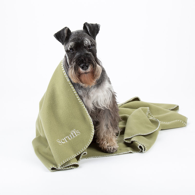 Fleece/Microfiber Pet Blanket, 140cm x 100cm, Khaki Green