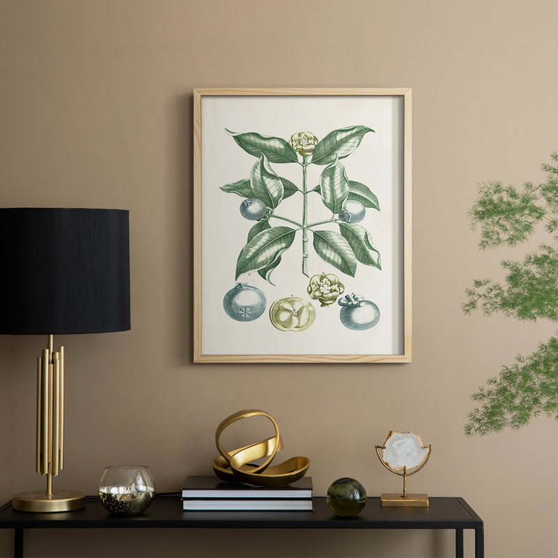 «Buchoz Tropicals VII», reproduction encadrée - bois massif