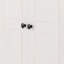 Amary 2 Door Solid Wood Wardrobe