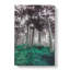 Forest In Russia - Wrapped Canvas-55363917