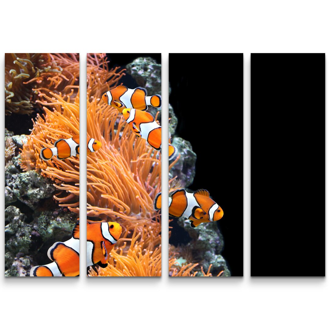 4-tlg. Leinwandbilder-Set Seeanemone und Clownfisch im Aquarium