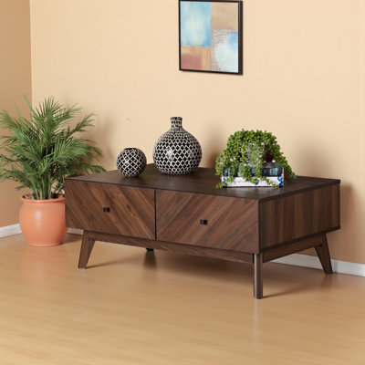 Table basse décorative à 2 tiroirs et 1 tablette Wisp, H 14,5 po x l 37,73 po x P 22,06 po Wisp