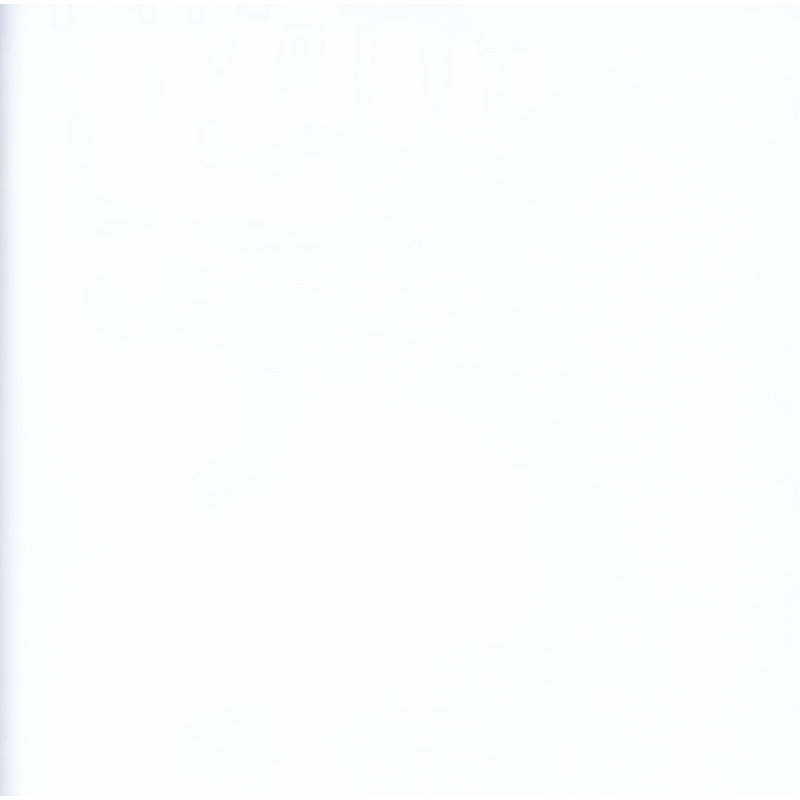 Voile60 Fabric, Winter White