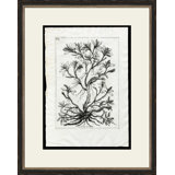 Rooted Plant III Painting