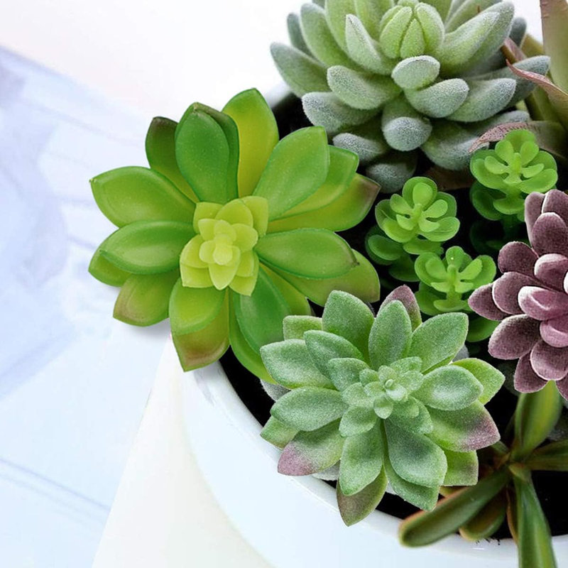 Plantes succulentes artificielles - ensemble de 16 ...
