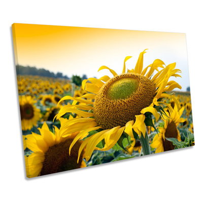 Sunflower Sunset Flower - Wrapped Canvas Print