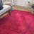 Nadene Washable Oriental Indoor Rug-29199368