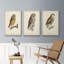 «French Owls I», ensemble de 3 toiles encadrées-97795714-97795715