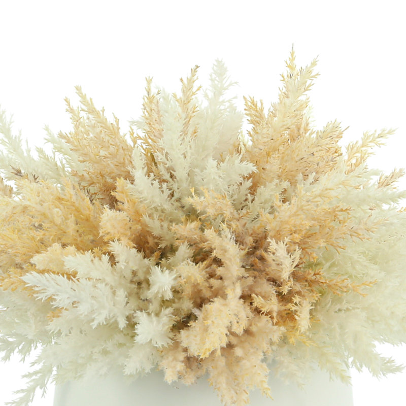 Faux Pampas Grass Grass in Ceramic Vase