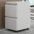 2 Drawer Garage Mobile Storage Cabinet Tool Chest