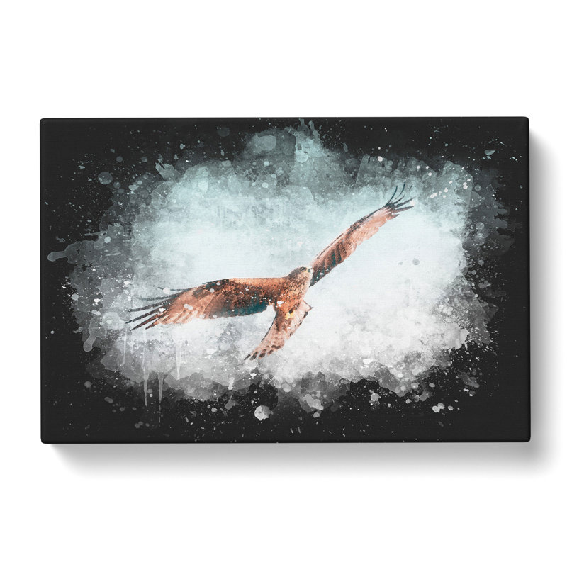 Black Kite Bird - Wrapped Canvas Painting, 35cm H x 50cm W x 3cm D
