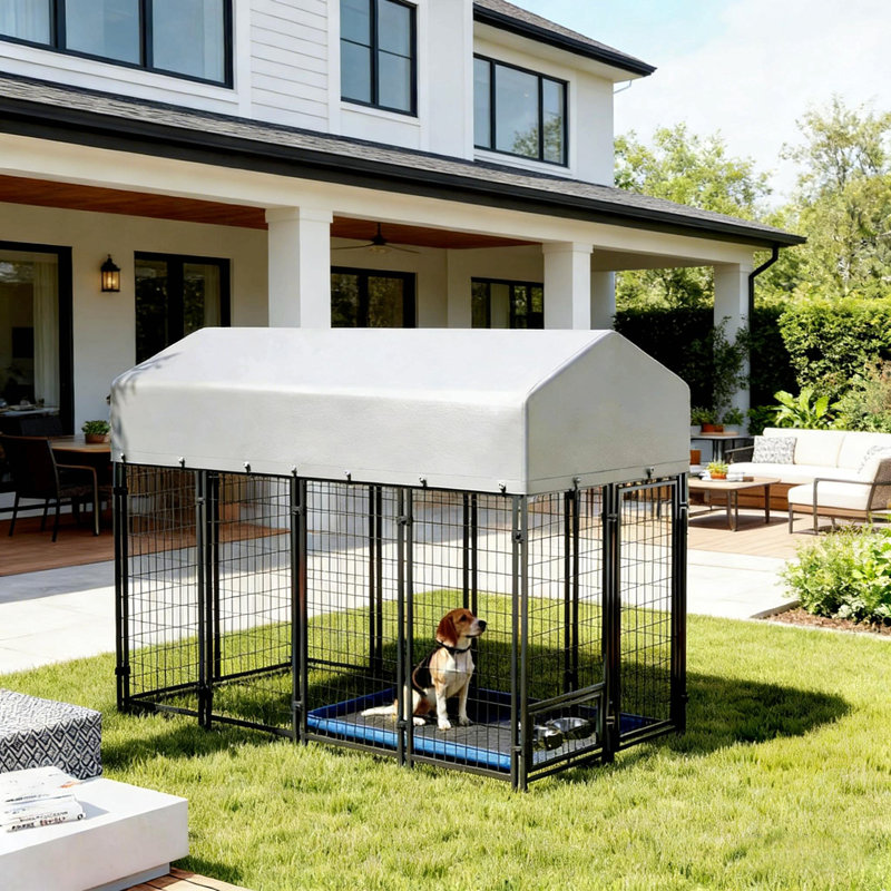 Chenil pour animaux spacieux et extérieur