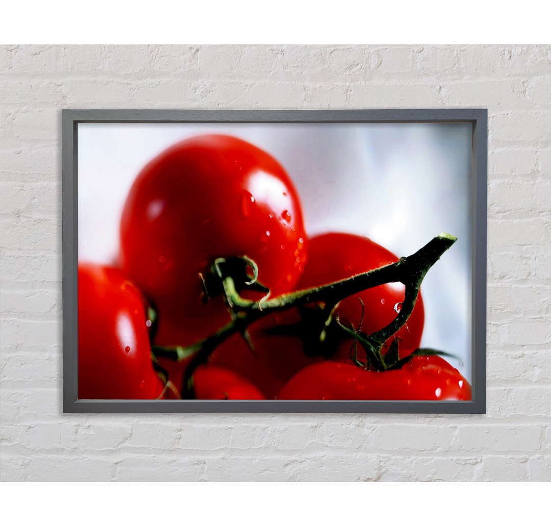 Cherry Tomato Vine - Einzelner Bilderrahmen Kunstdrucke auf Leinwand