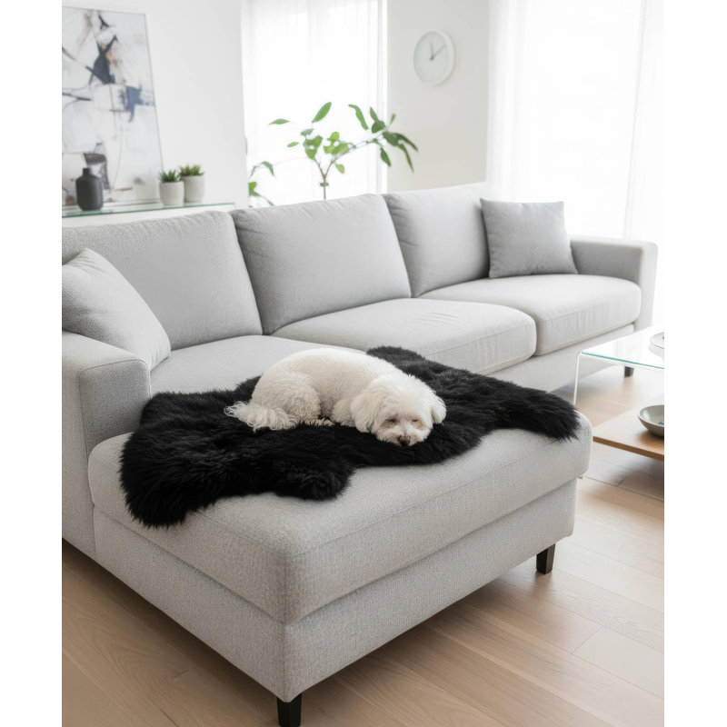 Bershire Performance Sheepskin Washable Indoor Rug, Novelty 2' x 3'