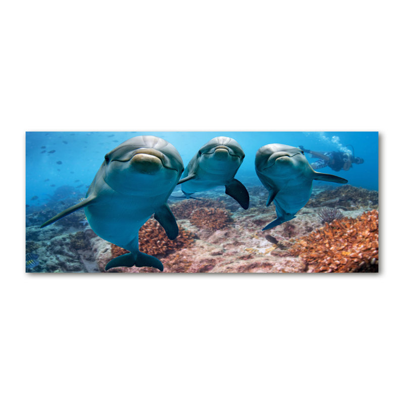 Dolphins - Wrapped Canvas Print, Glass, 70cm H x 100cm W