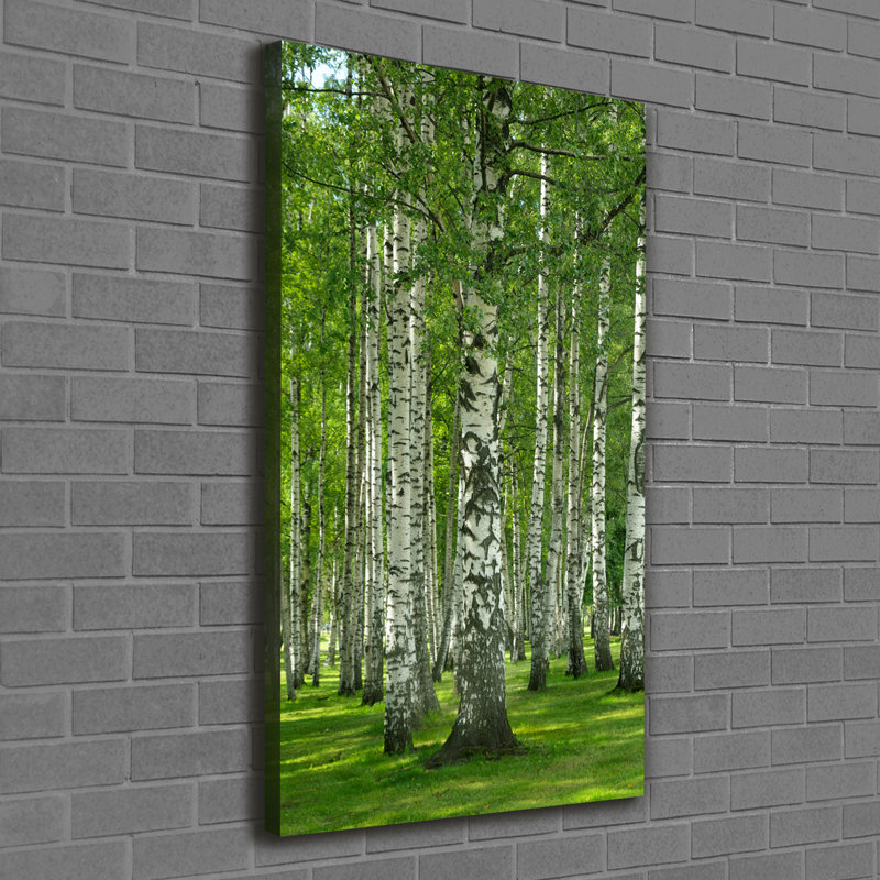 Birch Forest - Wrapped Canvas Print