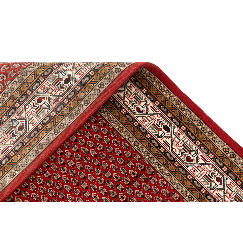 Tapis rouge Oneill