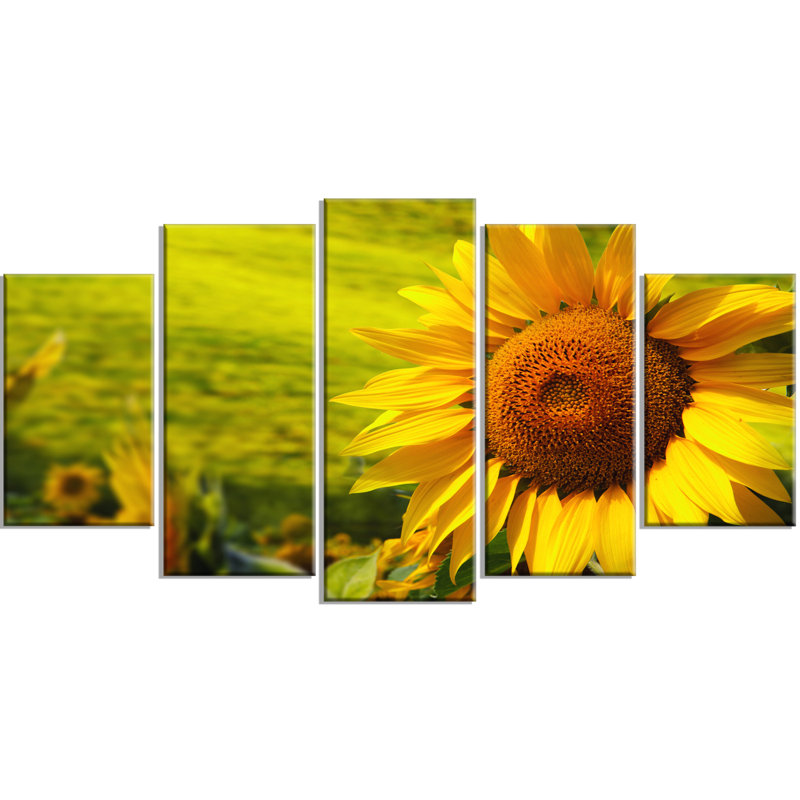 Tuscany Sunflowers Green Canvas Print Wall Art, 60" x 32"