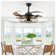 Ceiling Fan Light