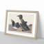 Foolish Guillemots by John Audubon - Picture Frame Painting Print-55620908-55620907