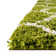 Red Barrel Studio® Ruby Trellis Shag Rug Green