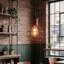 1 - Light Rustic Red Caged Pendant