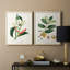 Reproduction encadrée Turpin Tropical Botanicals IX-Premium - prête à être accrochée-394751301-394751307