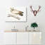 Coromandel Owl by John Edward Gray - Wrapped Canvas-55314501