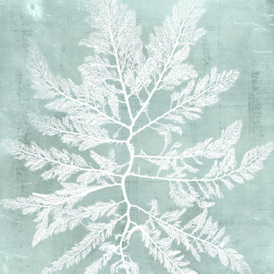 Algues sur aqua I
