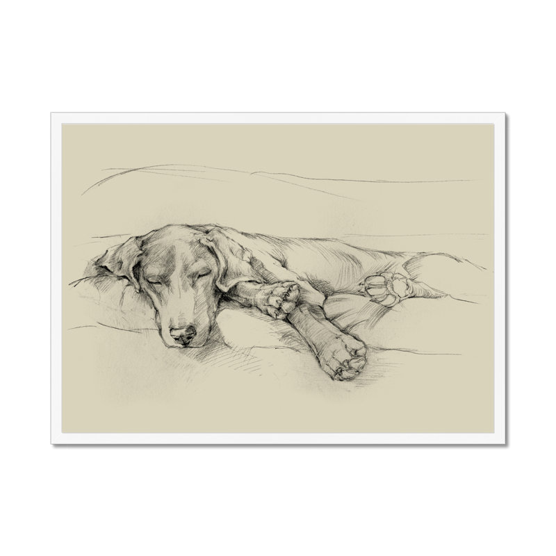 Dog Days II by Ethan Harper - Print, 34cm H x 50cm W, White Framed Paper Print