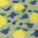 Machine Washable Indoor/Outdoor Bourkelands ACN2354 Fruits Rug