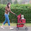 Pet Stroller-57840364