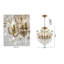 Lustre en cristal 6 lumières Traditional-500749995