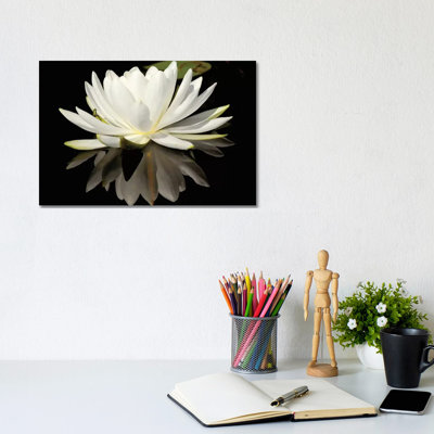 Lilly Reflection by Brian Wolf - Wrapped Canvas Print