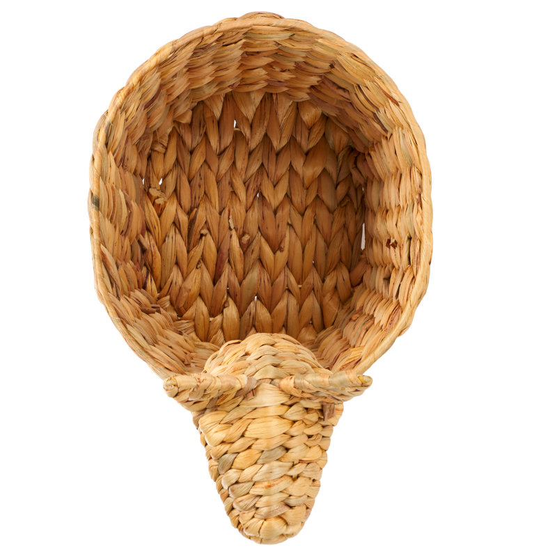 Auroris Basket