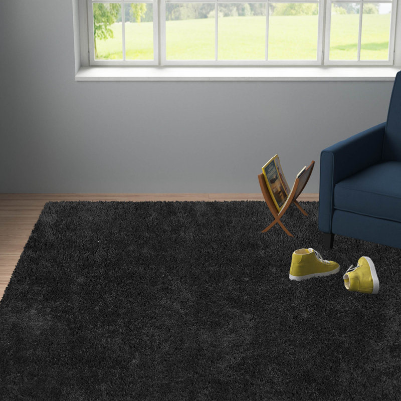 Assar Black Area Rug, Rectangle 4' x 6'