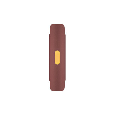 Lupe  Flush Mounted Sconce