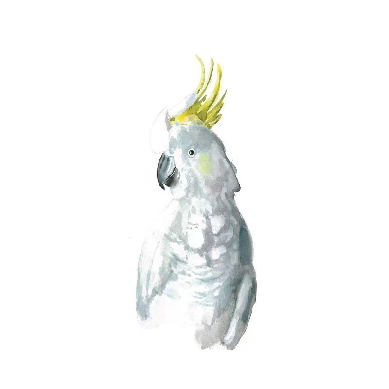 Cockatiel I by Albina Bratcheva - Wrapped Canvas Print, 101.6 cm H x 66.04 cm W x 1.91 cm D