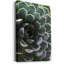 1 Piece Wrapped Canvas Wall Art