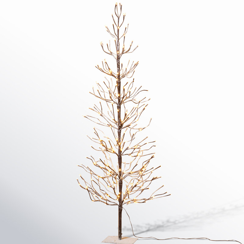Daigre 72'' Lighted Trees & Branches