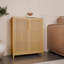 Armoire de rangement grande capacité 42 pouces multi-scène