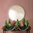 Preserved Boxwood 10'' Wreath-18575914