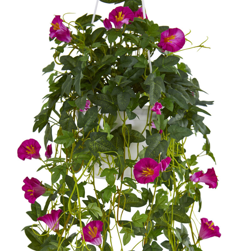 Panier suspendu petunia