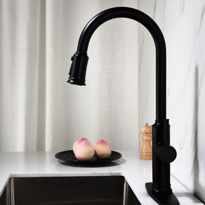 Single Lever Kitchen Faucet With Pull Out , Matte Black Stainless Steel, 360 Rotating High Nozzle, Corrosion Surface, Aerators For A Gentle And Bubble-Rich Water Stream Steel Rust Reduced